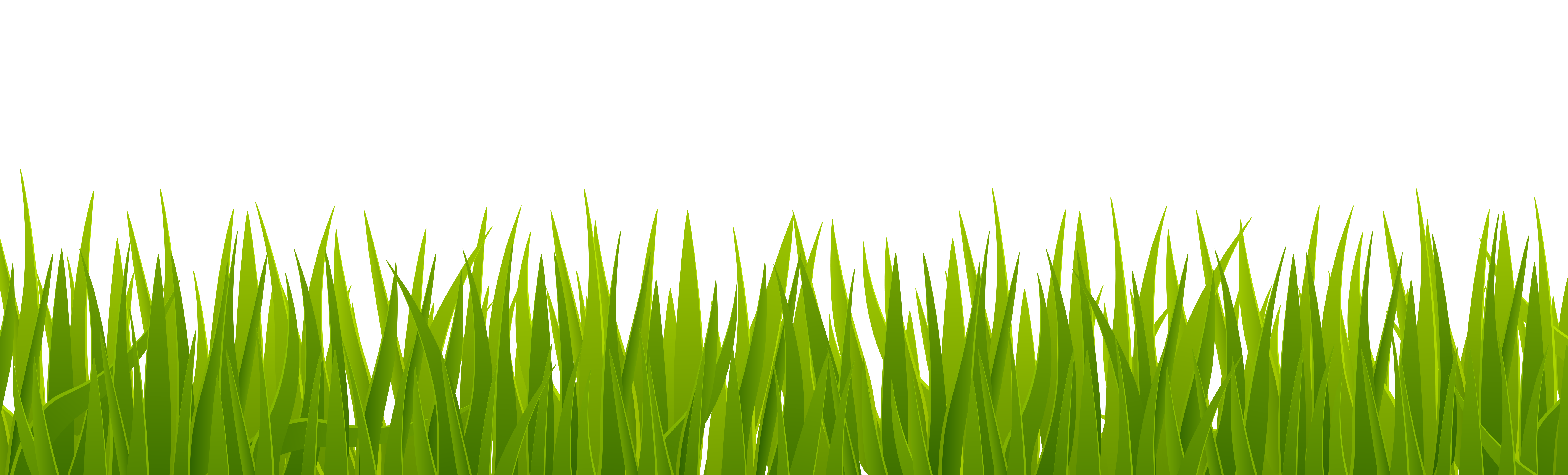 Grass